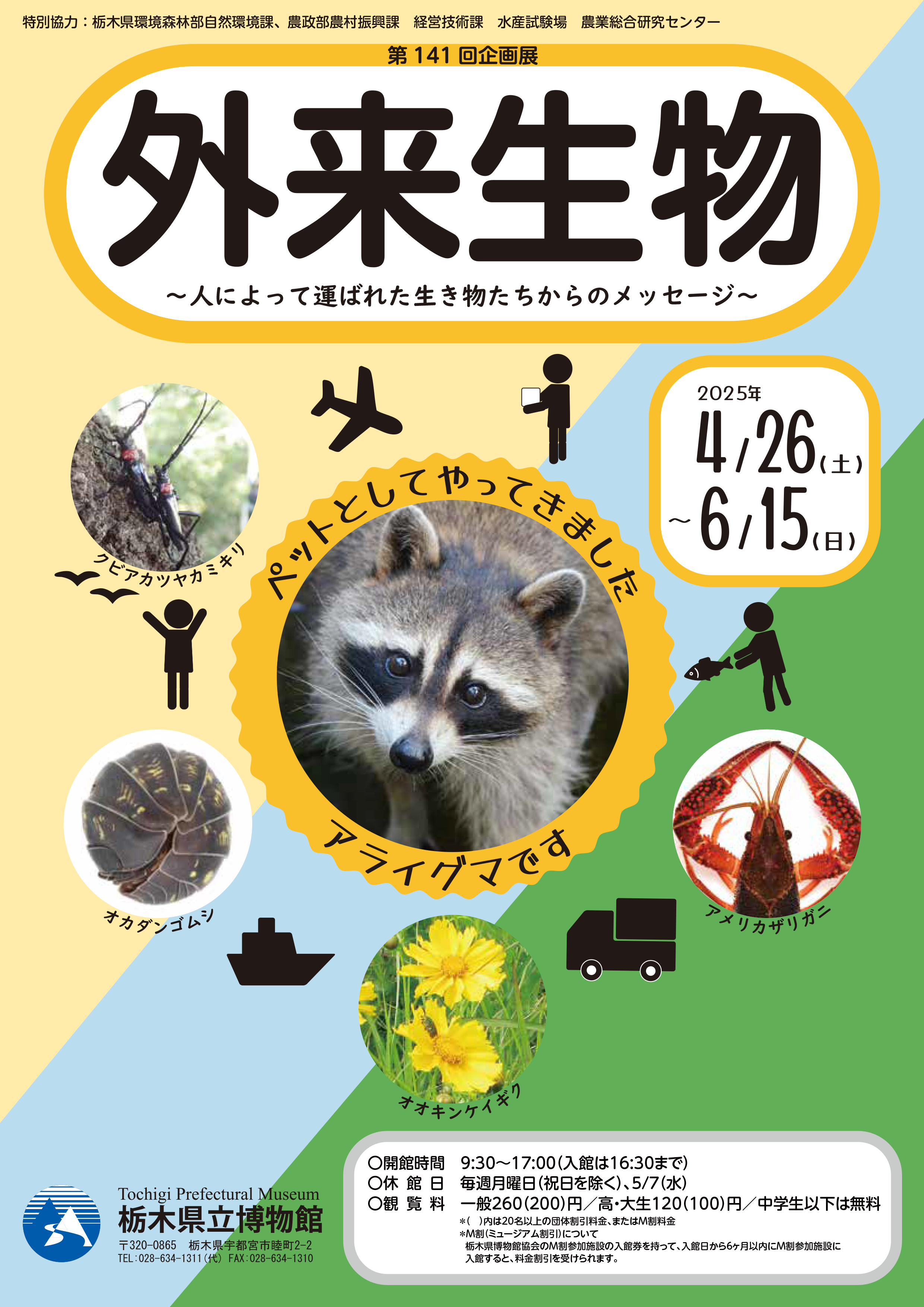 チラシ表