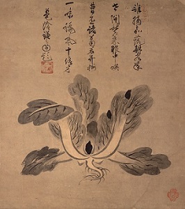 `쌳MMAFǎ^uؐ}iqꖡ}jv