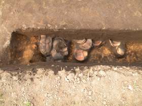 上の台遺跡<br>遺物出土状況（第２次調査）