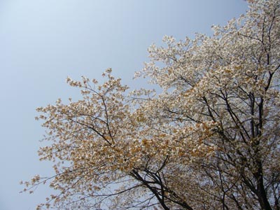 %EF%BD%BB%EF%BD%B8%EF%BE%97.jpg
