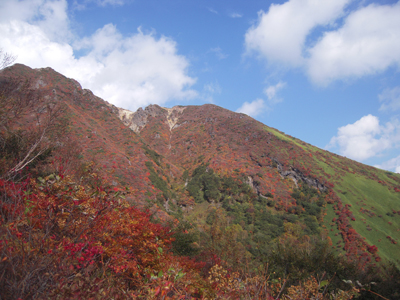 紅葉（写真２）