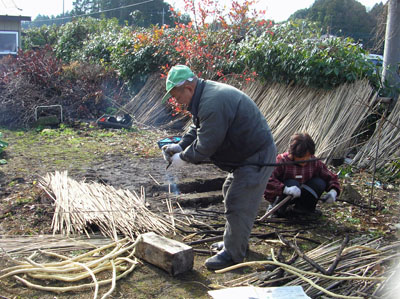 あぶったフジは焼き芋のような匂いでした