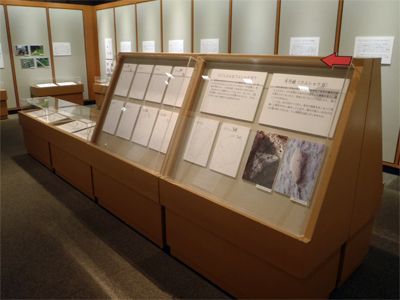展示室