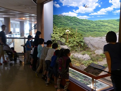 P1040901.JPG