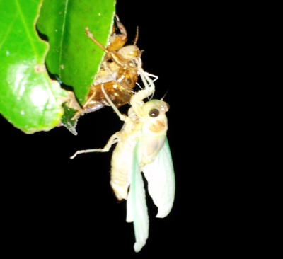 20150801_200445.jpg