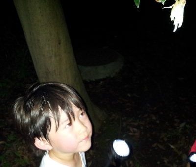 20150801_200507.jpg