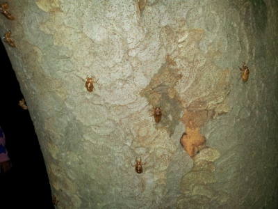 20150801_192321.jpg