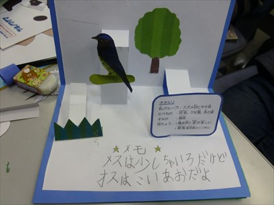 P1140886_R.JPG