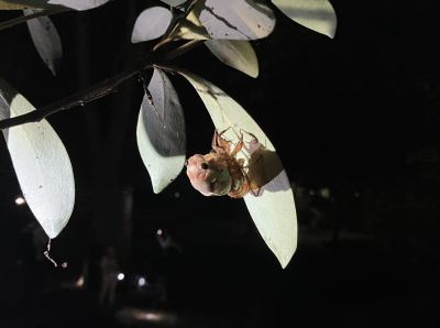 2025072602-2.JPG