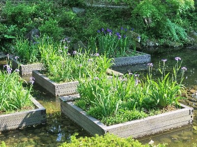 日本庭園・むつび池.jpg