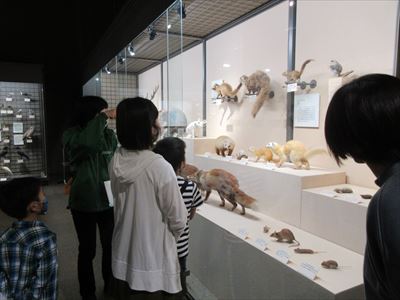 IMG_3377_R.JPG