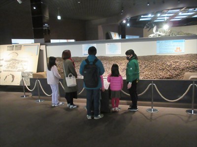 IMG_3267_R.JPG