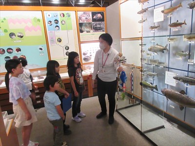 IMG_6931_R.JPG