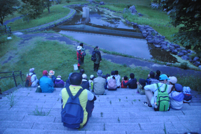 DSC_4010400pic.JPG