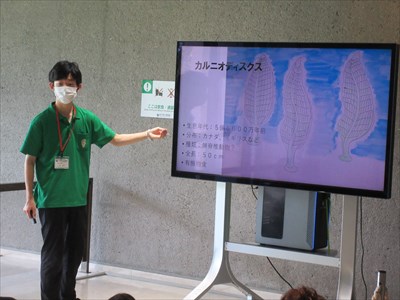 IMG_7271_R.JPG