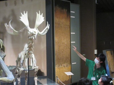 IMG_7286_R.JPG