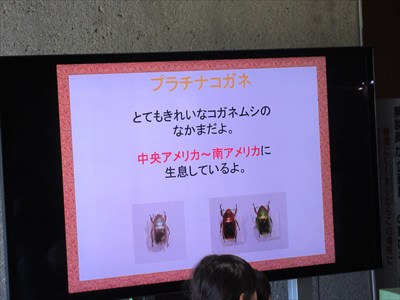 IMG_7649_R.JPG