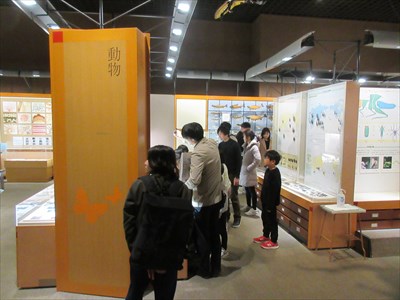 IMG_8281_R.JPG