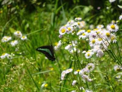 DSC09161.JPG
