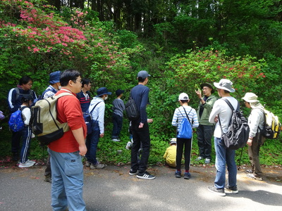 DSC09206.JPG