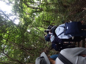 DSC09219.JPG