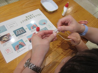 IMG_8893_R.JPG