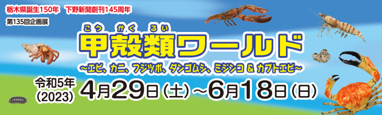 甲殻類ワールド～エビ、カニ、フジツボ、ダンゴムシ、ミジンコ＆カブトエビ～