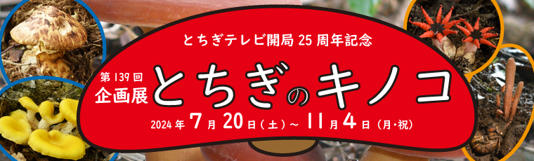 ★タイトル画像★