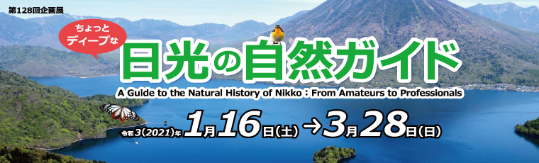 日光の自然ガイド