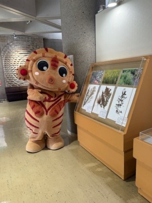 R710月県博デー8.jpg
