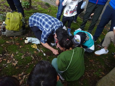 DSC09568.JPG