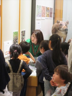 IMG_0664_R.JPGのサムネイル画像のサムネイル画像のサムネイル画像